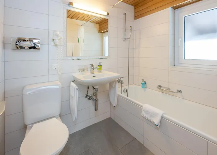 Готель Sarazena